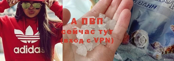 стафф Абинск