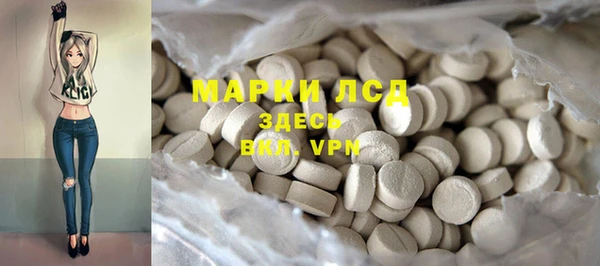 стафф Абинск