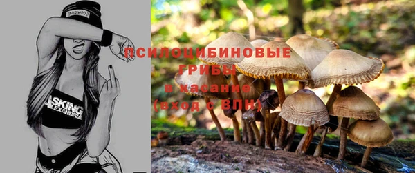 гашиш Вяземский
