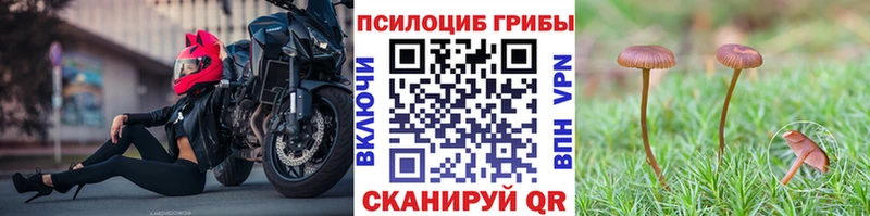 Галлюциногенные грибы Psilocybine cubensis  Нижняя Тура 