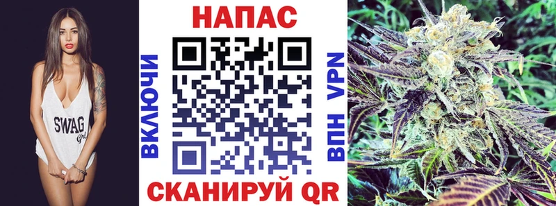 Шишки марихуана планчик  Нижняя Тура 
